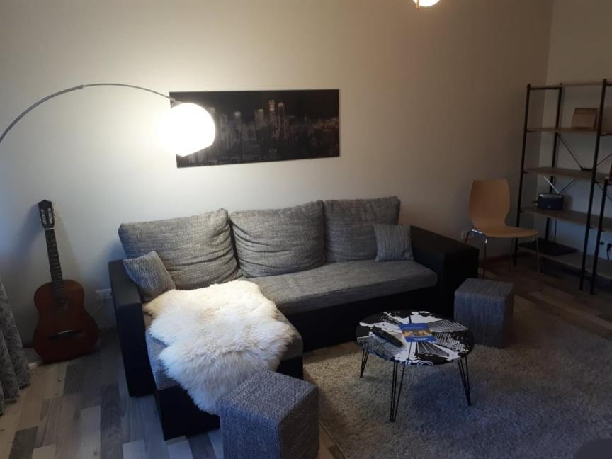 Cozy Near The Centre And Emajogi, Free Parking, Contact-free Entrance Apartment Tartu