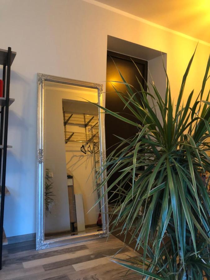 Apartment Cozy Near The Centre And Emajogi, Free Parking, Contact-free Entrance *